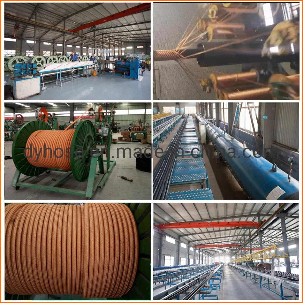 China Supplier Heat Resistant LPG Gas Hose